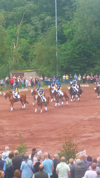 Reiterquadrille_Foto Luca Deutschl&auml;nder (5)